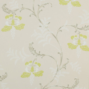 Colefax and Fowler - Messina - Bellflower 7127/02 Lime