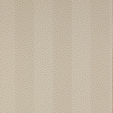 Colefax and Fowler - Chartworth Stripes - Wilder 7140/04 Mink