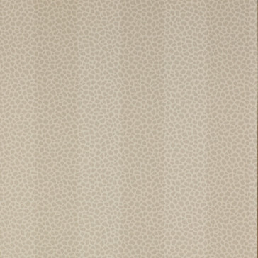 Colefax and Fowler - Chartworth Stripes - Wilder 7140/04 Mink