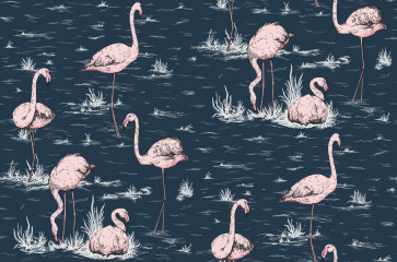 Cole & Son - Icons - Flamingos 112/11041