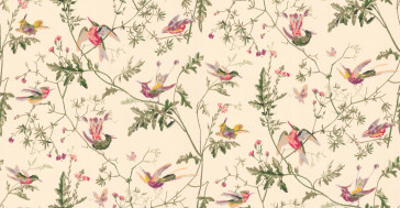 Cole & Son - Collection of Flowers - Humming Birds 62/1001