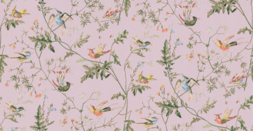 Cole & Son - Collection of Flowers - Humming Birds 62/1003