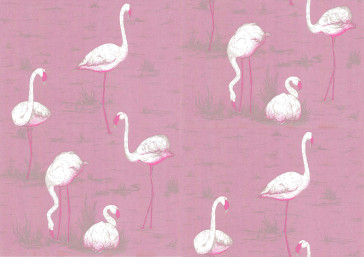 Cole & Son - New Contemporary I - Flamingos 66/6043