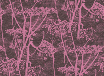 Cole & Son - New Contemporary I - Cow Parsley 66/7047