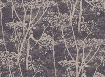 Cole & Son - New Contemporary I - Cow Parsley 66/7048