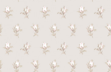 Cole & Son - Collection of Flowers - Rose Buds 81/4015