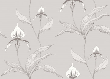 Cole & Son - Contemporary Restyled - Orchid 95/10055