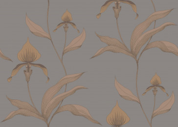 Cole & Son - Contemporary Restyled - Orchid 95/10056