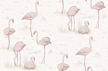Cole & Son - Contemporary Restyled - Flamingos 95/8045