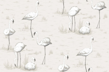 Cole & Son - Contemporary Restyled - Flamingos 95/8046
