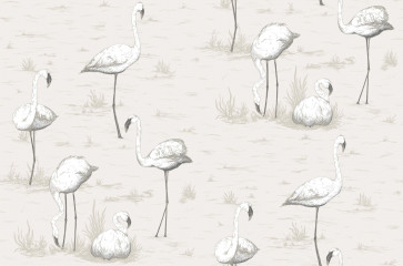 Cole & Son - Contemporary Restyled - Flamingos 95/8046