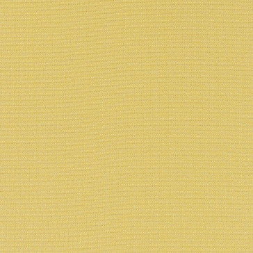 Mira X - Arella - 7039-55 Endive