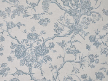 Braquenie - Chantonnay - B7691003 Bleu Tendre