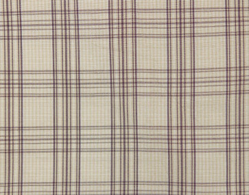 Braquenie - Beauvoir - B7535004 Pensee