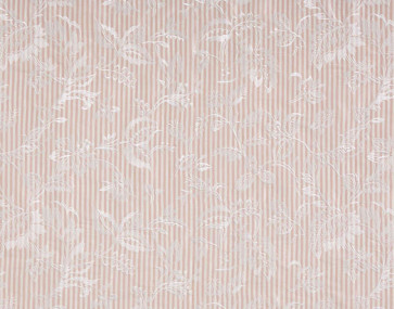 Braquenie - Mademoiselle Celestine - B7590004 Rose