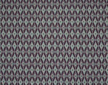 Braquenie - Aristote - B7641004 Figue