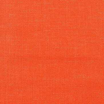Camengo - Esprit - 31472039 Orange