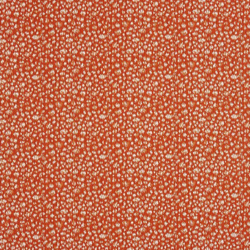 Camengo - Delice d'Oran - 8000255 Orange