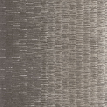 Casamance - Synopsis - Ellipse - 73750182 Beige