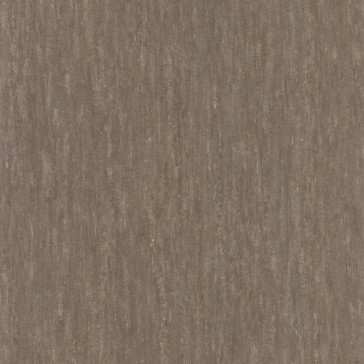 Casamance - Synopsis - Instantane - 73790544 Taupe