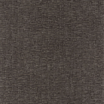 Casamance - Malanga - Caiman - 74070732 Carbone