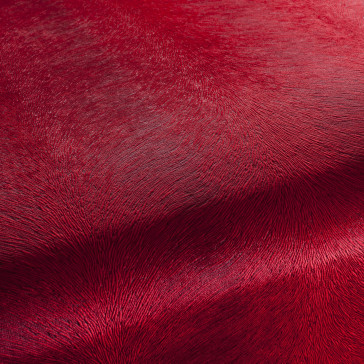 Chivasso - Pistoia Velvet Reloaded - CA1292/012