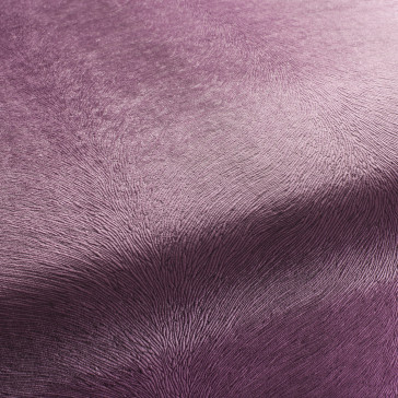 Chivasso - Pistoia Velvet Reloaded - CA1292/086