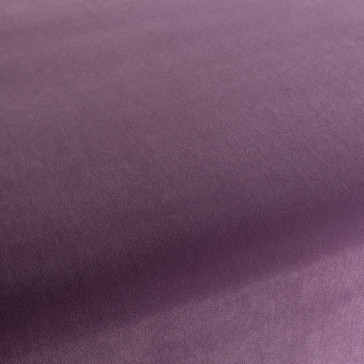 Chivasso - Trophy Velvet - CA1578/083