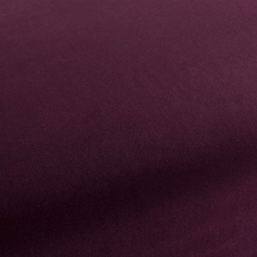 Chivasso - Trophy Velvet - CA1578/085