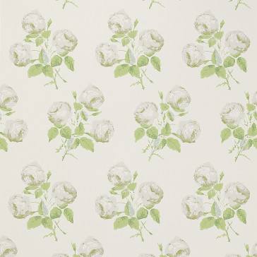 Colefax and Fowler - Jardine Florals - Bowood - 07401-10 - Silver-Leaf