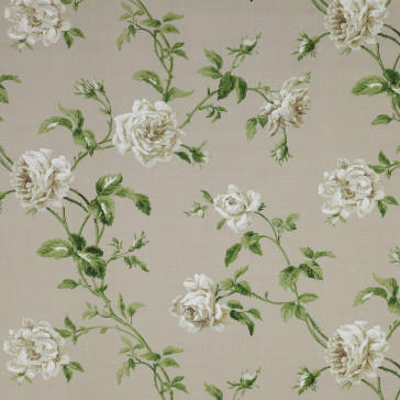 Colefax and Fowler - Amelie - Cream/Green - F3423/01