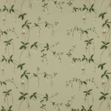 Colefax and Fowler - Viviers - Pale Leaf - F3513/03