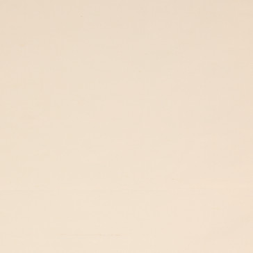 Colefax and Fowler - Lucerne - Shell - F3931/38