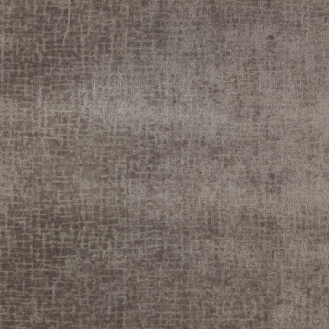 Colefax and Fowler - Simone - Chinchilla - F4014/04