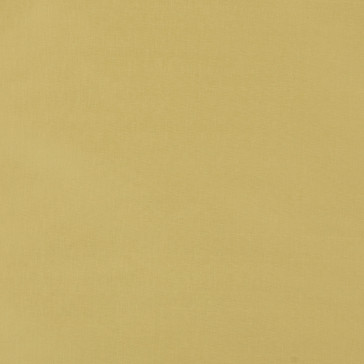 Colefax and Fowler - Padova - Yellow - F4137/25