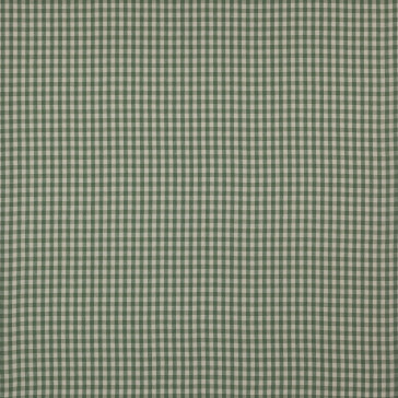 Colefax and Fowler - Minack Check - F4143-11 Green