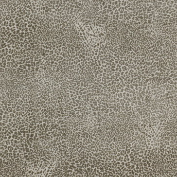 Colefax and Fowler - Otto - Beige - F4215/03