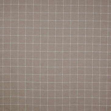 Colefax and Fowler - Linsmore Check - Stone - F4239/03