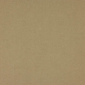 Colefax and Fowler - Tyndall - F4686-24 Flax