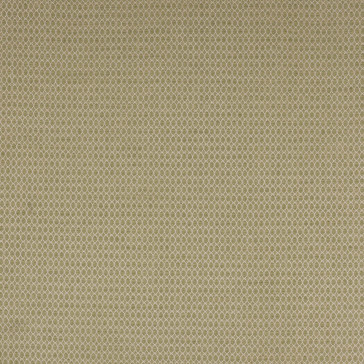Colefax and Fowler - Arlette - F4769-06 Leaf Green