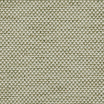 Colefax and Fowler - Newland - F4790-01 Olive