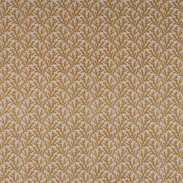 Colefax and Fowler - Pelham - F4857-05 Gold