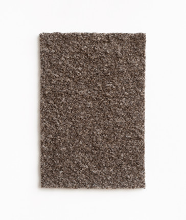 Dedar - Gimel - T21006-001 - Castoro