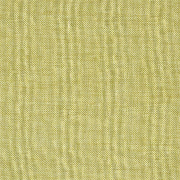 Designers Guild - Shima - Acacia - F1393-24