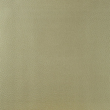 Designers Guild - Jurena - Champagne - F1676-05
