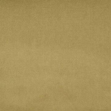 Designers Guild - English Riding Velvet - Camel - FLFY-647-35