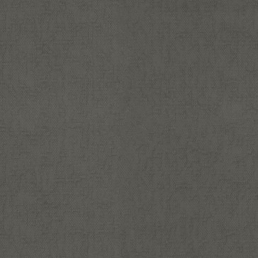 Dominique Kieffer - Fossile - 17267-005 Gris