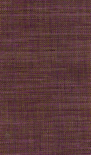 Osborne & Little - Papilio Plain 2 F5760-01