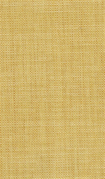 Osborne & Little - Papilio Plain 2 F5760-10