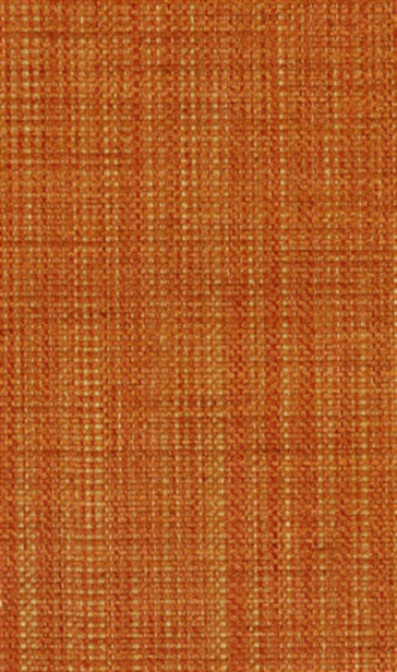 Osborne & Little - Papilio Plain 2 F5760-12